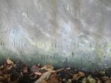 image of grave number 177652